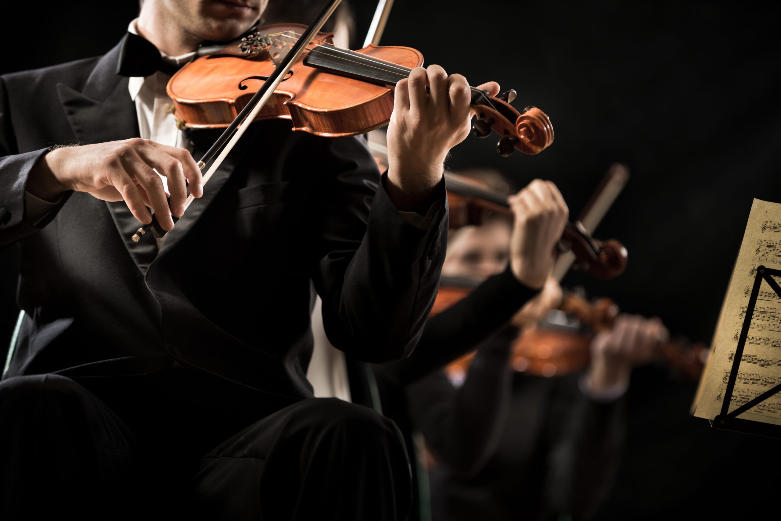 Fotogalerie 82 AdobeStock 71758993 scaled | Augustin-Foto.de