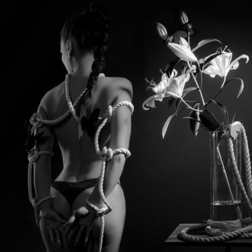 jonas-augustin_augustin-foto_hübsche-nackte-frau-seile-blumen